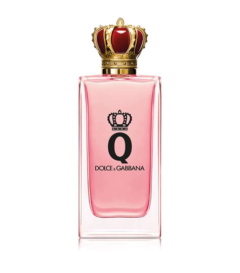 dolce and gabbana q